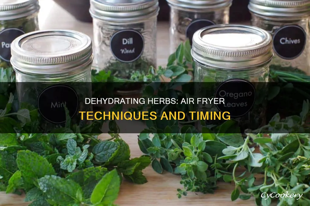 how long to dehydrate herbs in air fryer