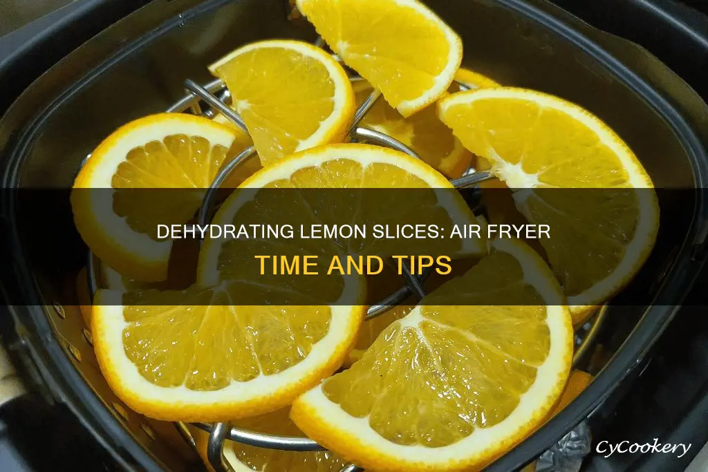 how long to dehydrate lemon slices in air fryer