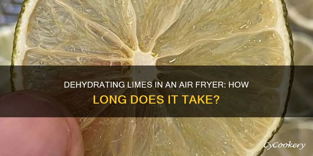 how long to dehydrate limes in air fryer