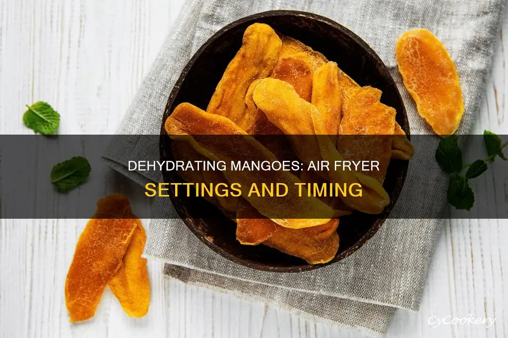 how long to dehydrate mango in air fryer