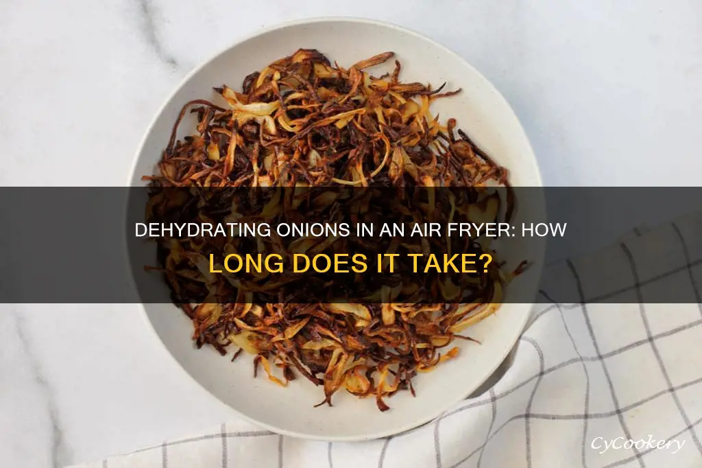 how long to dehydrate onions in air fryer