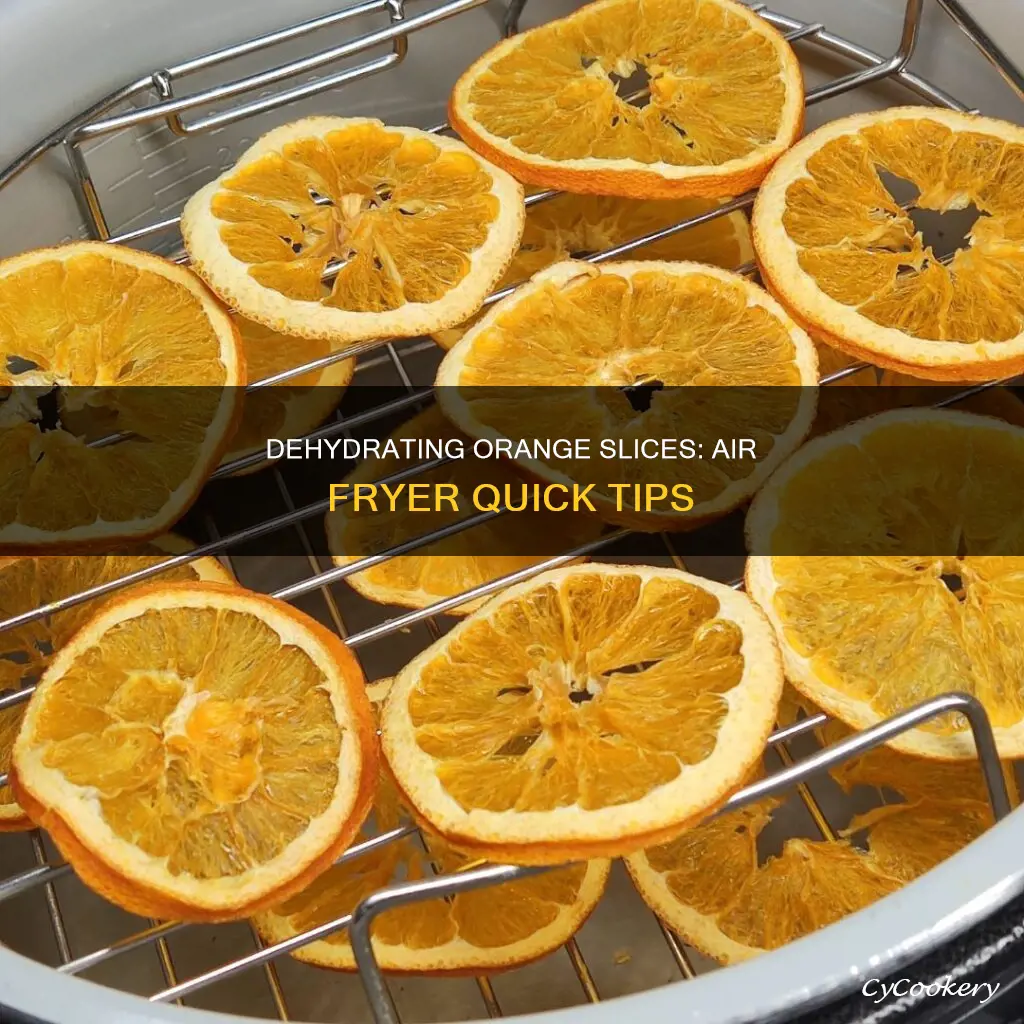 how long to dehydrate orange slices in air fryer