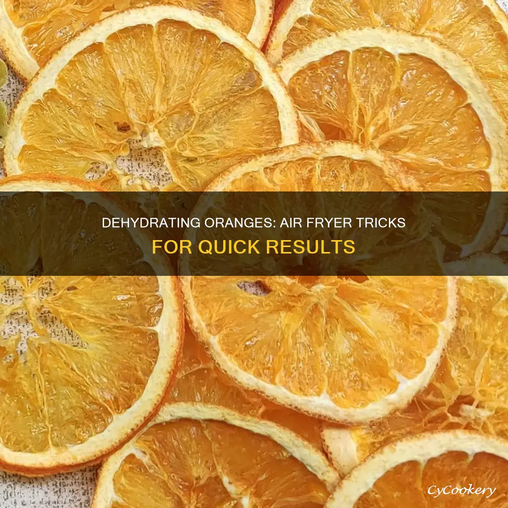 how long to dehydrate oranges in air fryer