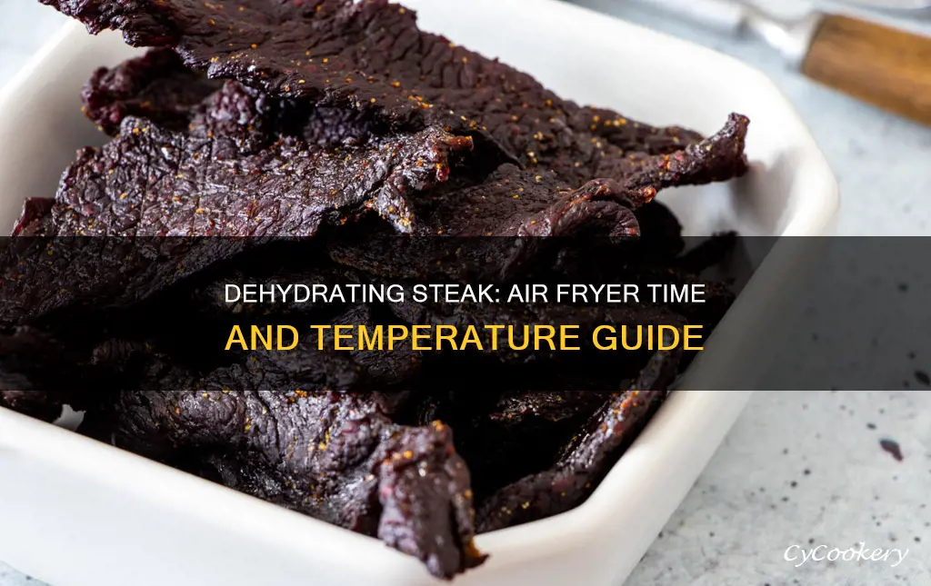 how long to dehydrate steak in air fryer