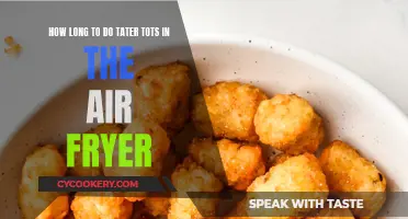 Air Fryer Tater Tots: Timing for Perfection