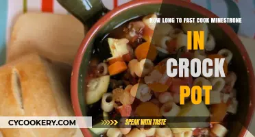 Quick Minestrone in a Crock Pot: How Long to Fast Cook?