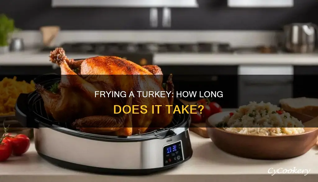 how long to fry a turkey in a turkey fryer