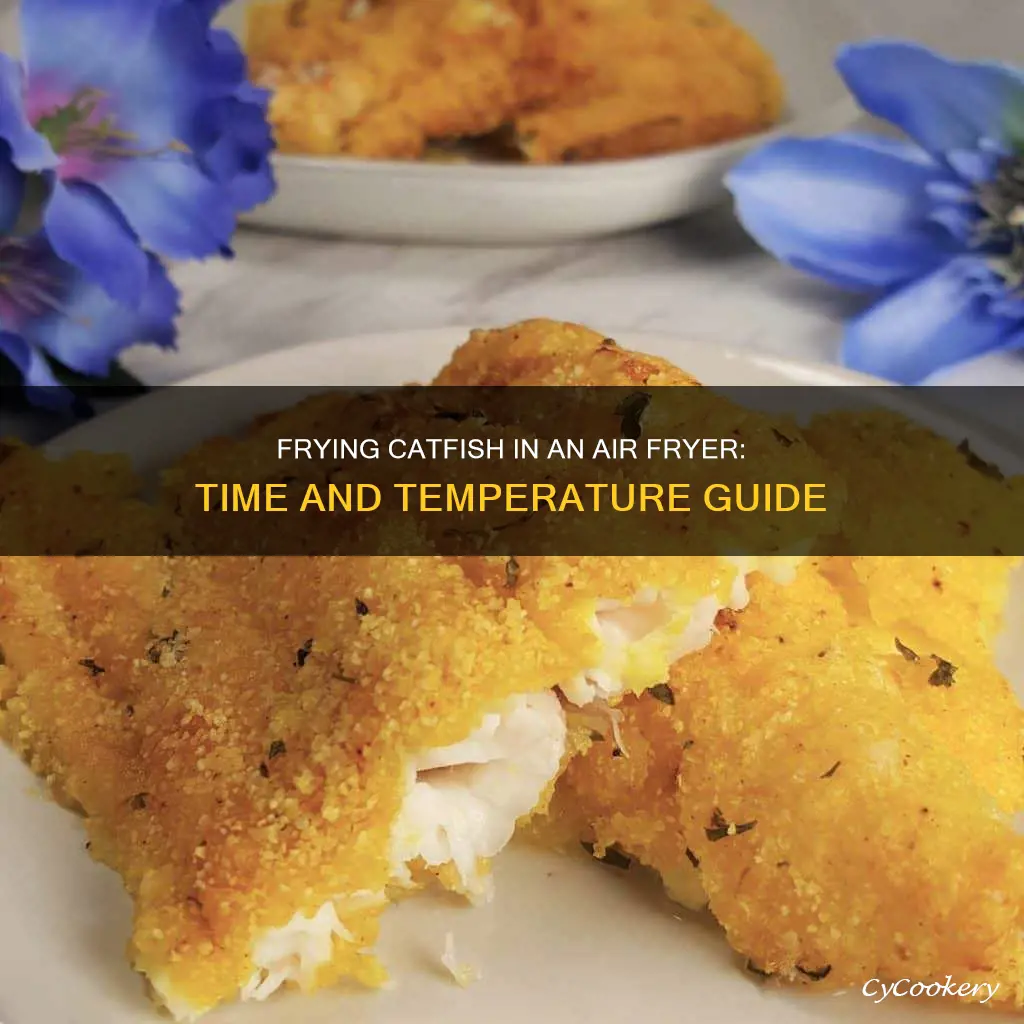 how long to fry catfish in air fryer