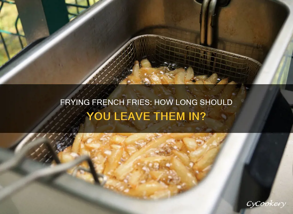 how long to fry french fries in a fryer