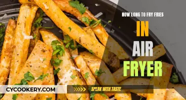 Frying Fries: Air Fryer Tips and Tricks