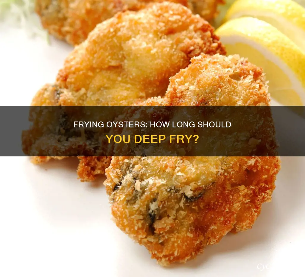 how long to fry oysters in deep fryer