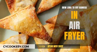 Frying Samosas: Air Fryer Tips and Tricks