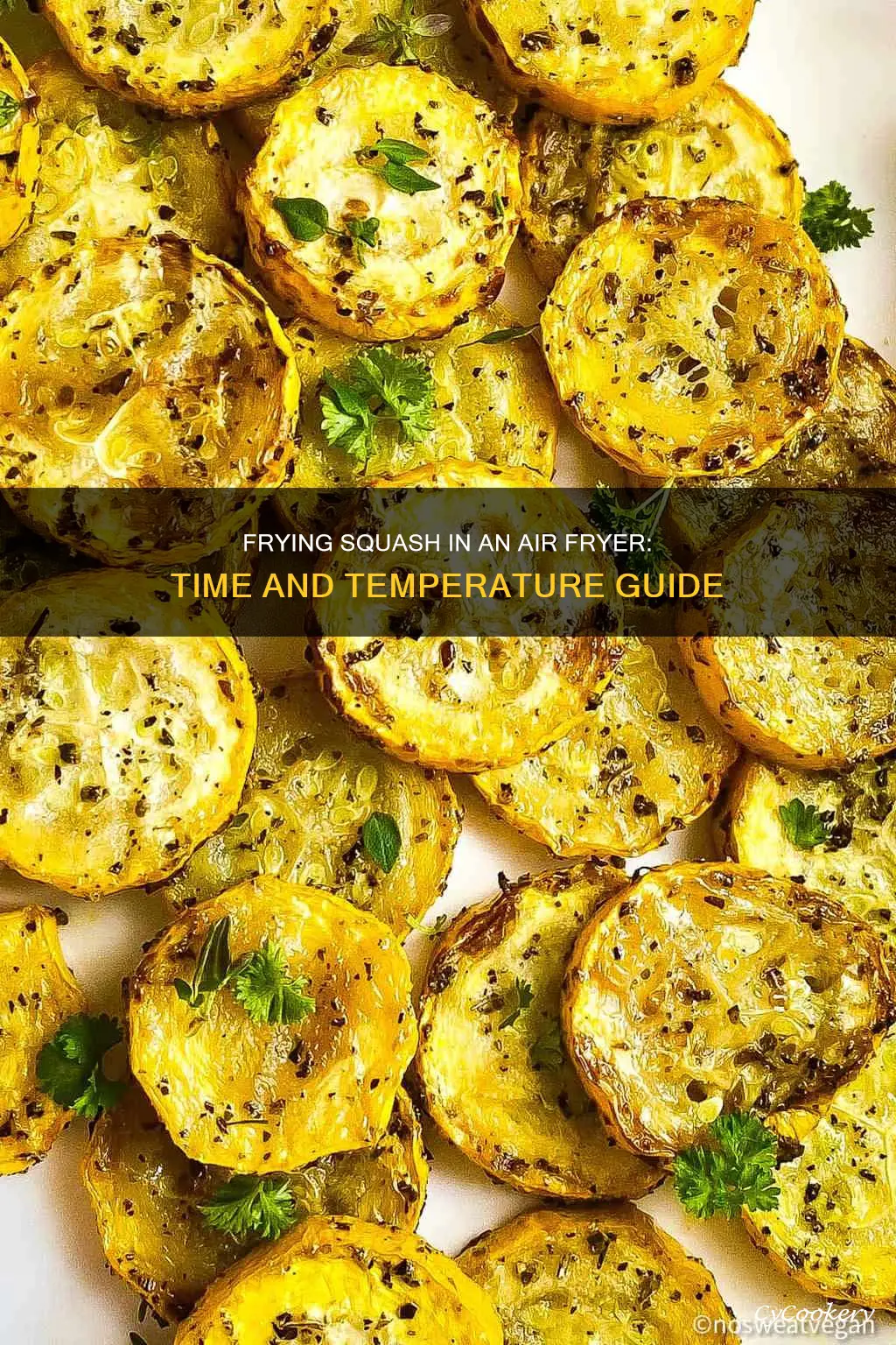 how long to fry squash in air fryer