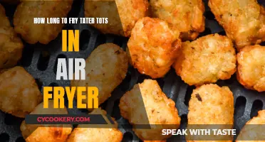 Frying Tater Tots: Air Fryer Time and Temperature Guide