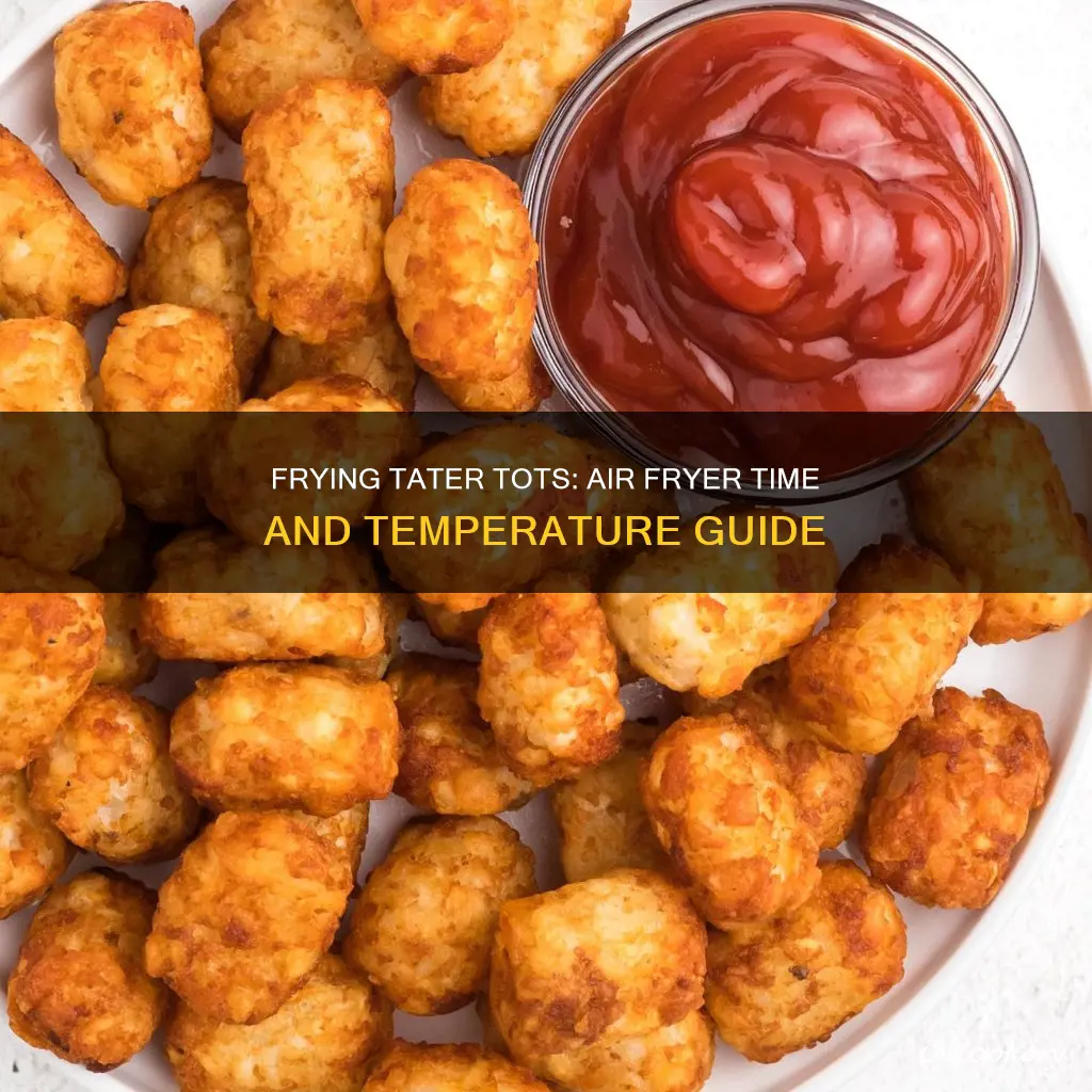 how long to fry tater tots in air fryer