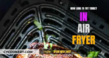 Frying Turkey in an Air Fryer: How Long Does It Take?