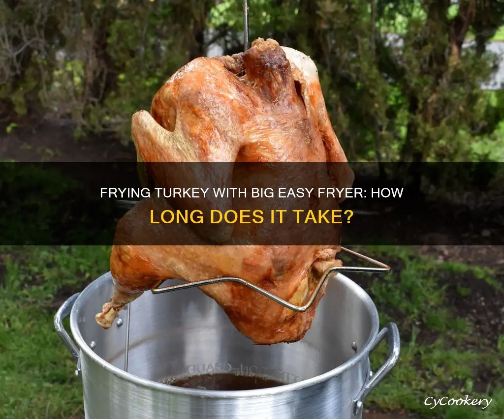 how long to fry turkey on big easy fryer