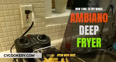 Frying Chicken Wings: Ambiano Deep Fryer Tips and Tricks