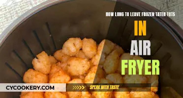 Air Fryer Tater Tots: The Perfect Timing