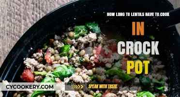 Cooking Lentils: Crock Pot Timing Tips