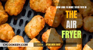 Air Fryer Tater Tots: Quick, Crispy, Golden Treats