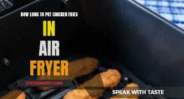 Air Fryer Chicken Fries: How Long to Fry?