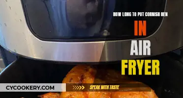 Air-Fryer Cornish Hen: Quick, Crispy, and Delicious