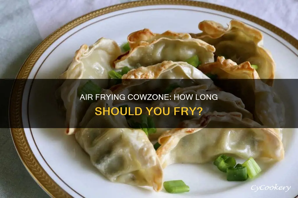 how long to put cowzone in air fryer