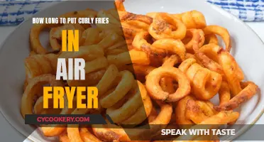 Air Fryer Curly Fries: How Long to Cook Them?