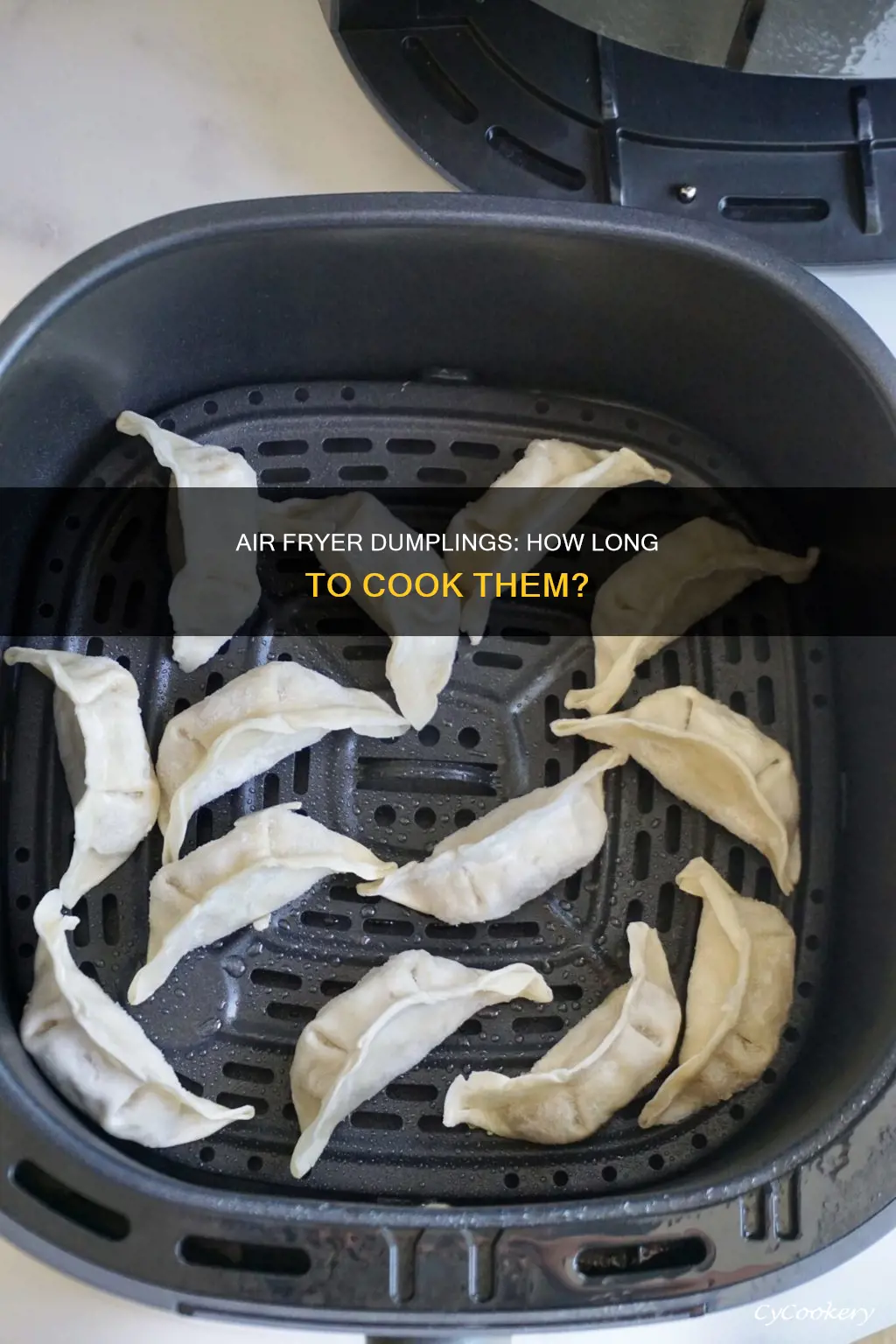 how long to put dumplings in air fryer