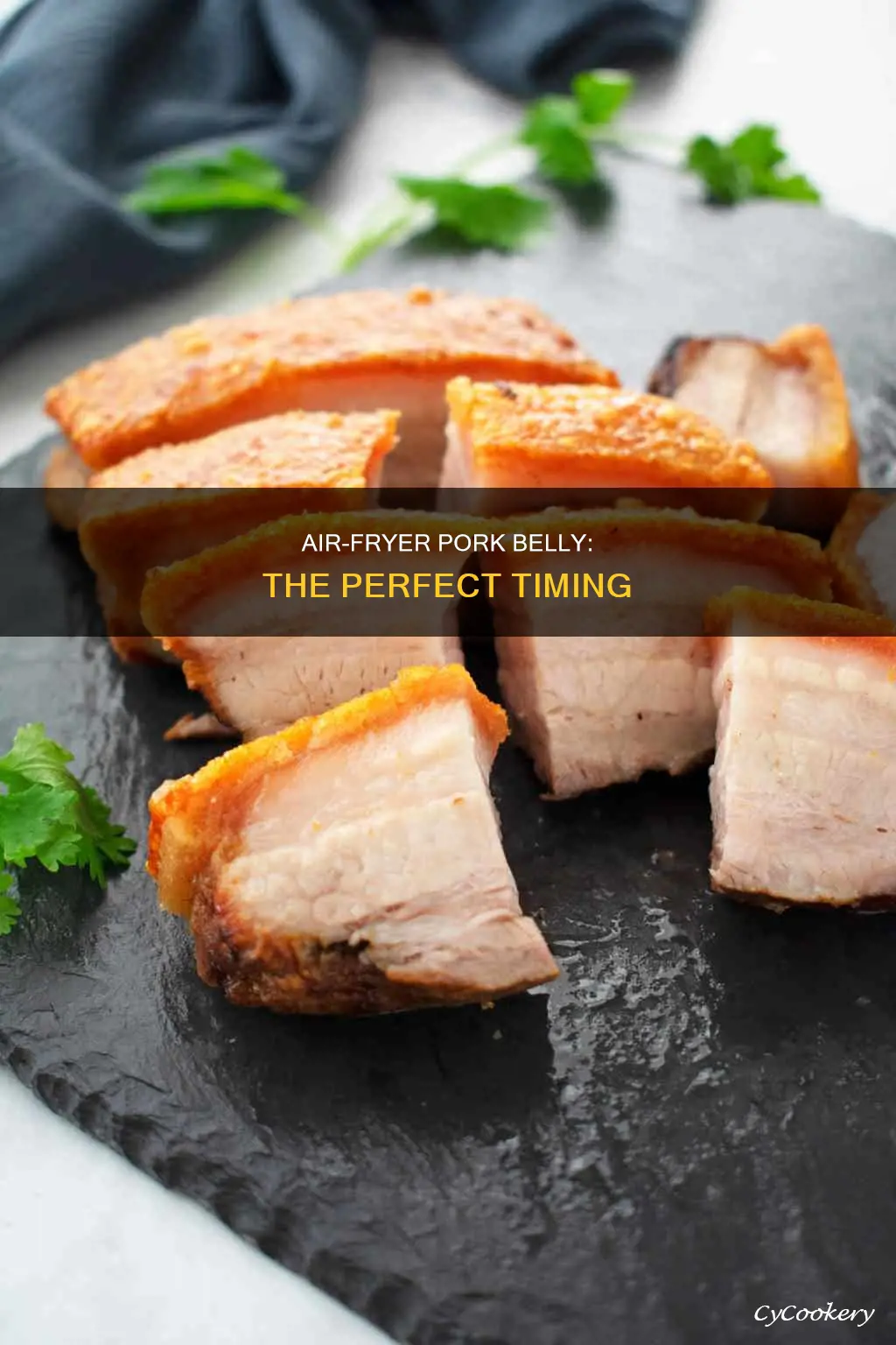 how long to put pork belly in air fryer