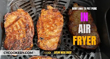 Air Fryer Pork: Timing and Temperature Guide