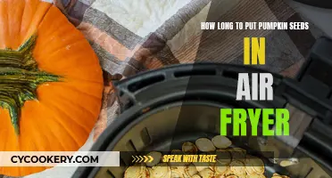 Air-Fryer Pumpkin Seeds: Timing for Perfect Crunch