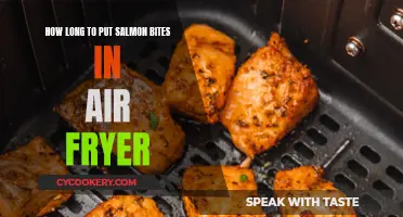 Air-Fryer Salmon Bites: How Long to Cook Them?