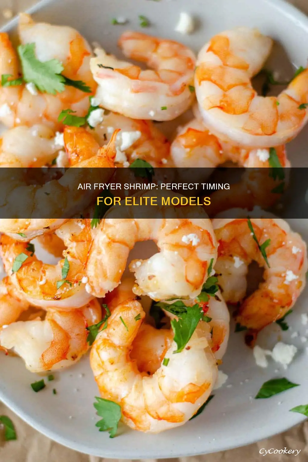 how long to put shrimp in elite air fryer