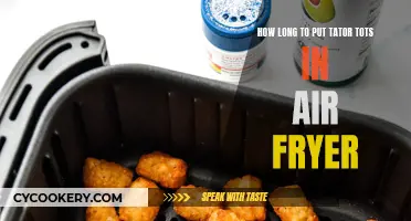 Air Fryer Tater Tots: Timing for Perfect Crispness