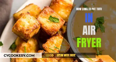 Air Fryer Tofu: Timing for Perfect Results