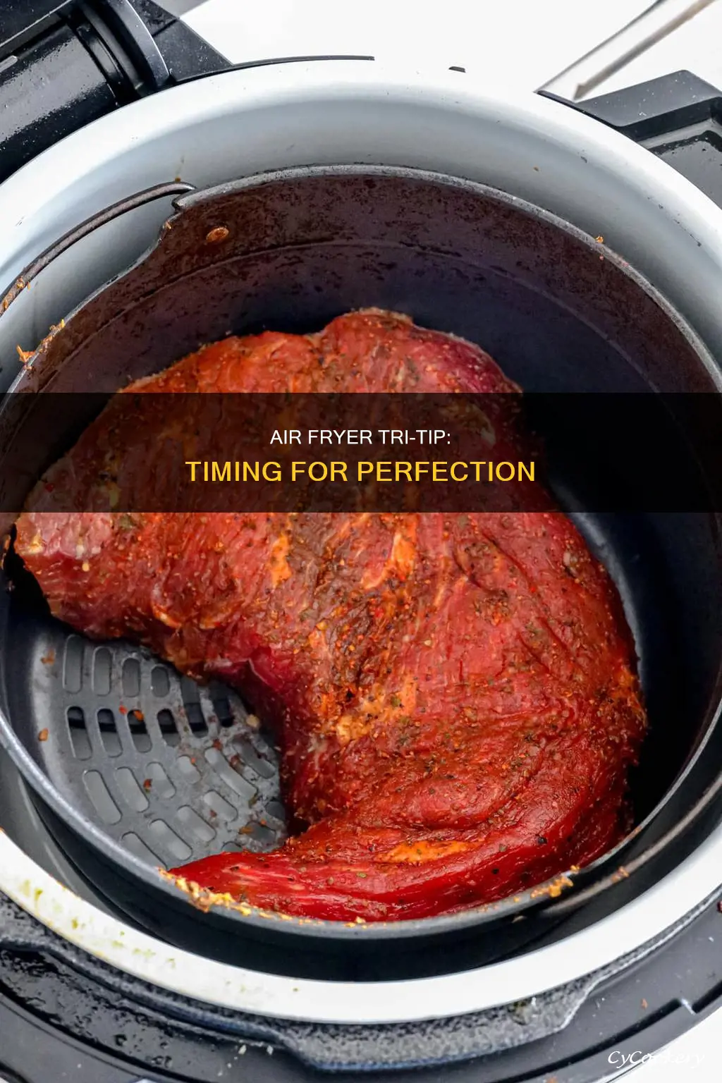 how long to put tri tip in air fryer