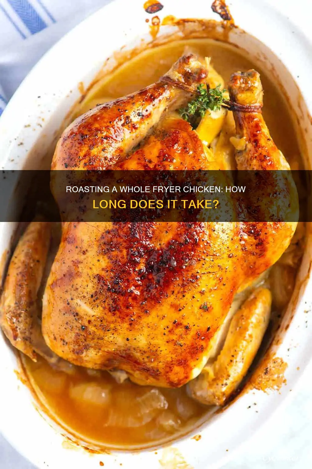 how long to roast a whole fryer chicken