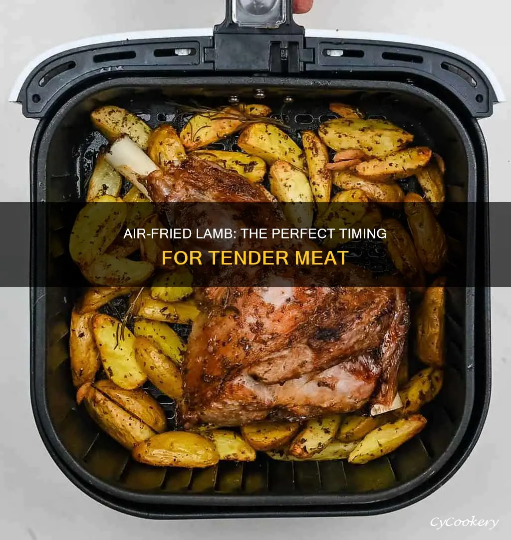 how long to roast lamb in air fryer