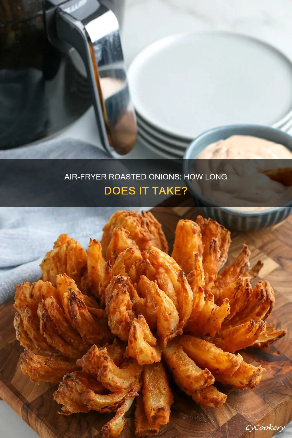 how long to roast onion in air fryer