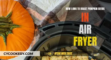 Air Fryer Roasted Pumpkin Seeds: Perfect Timing for Crunchy Seeds