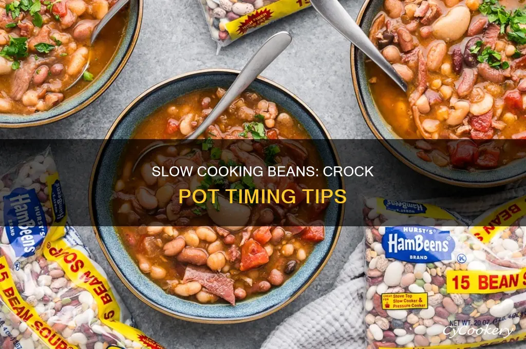 how long to slow cook beans in crock pot