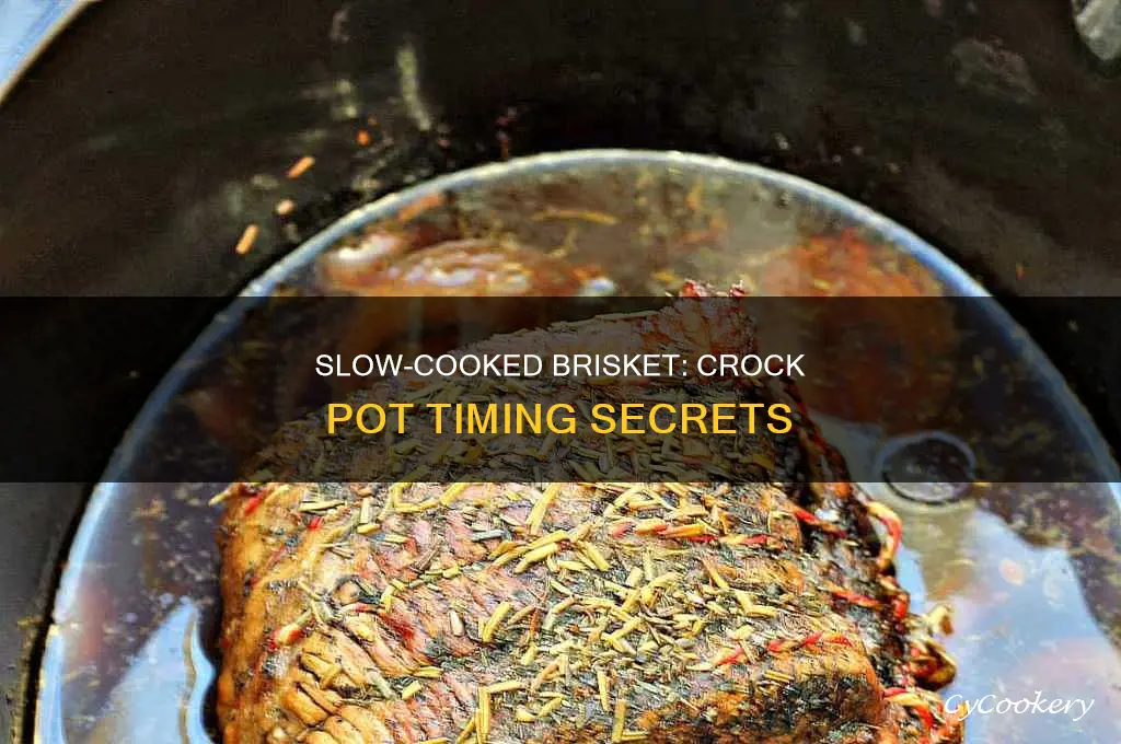 how long to slow cook brisket in crock pot