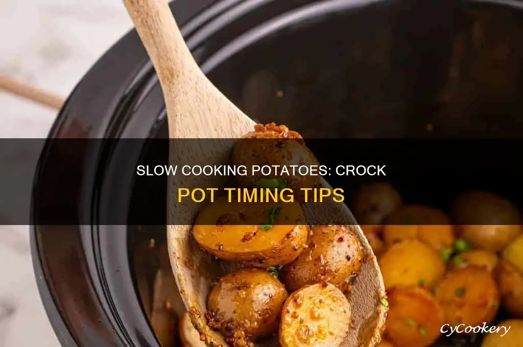 how long to slow cook potatoes in a crock pot