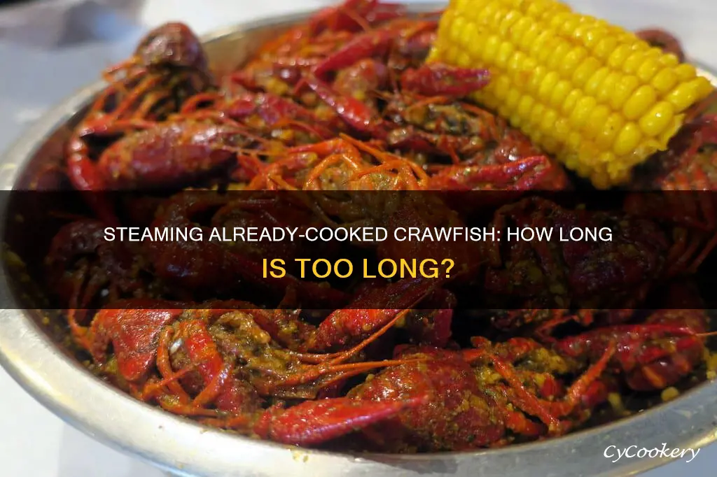 how long to steam already cooked crawfish