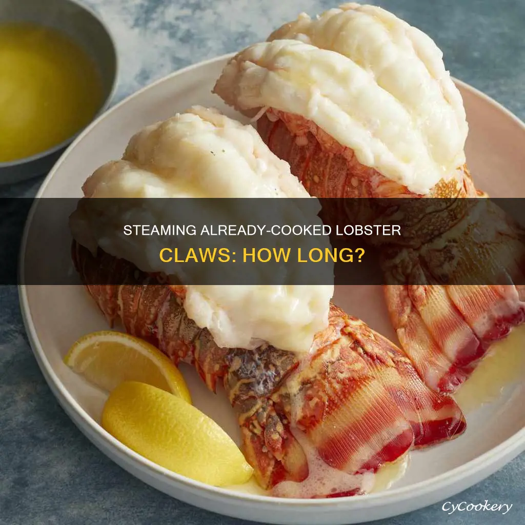 how long to steam already cooked lobster claws