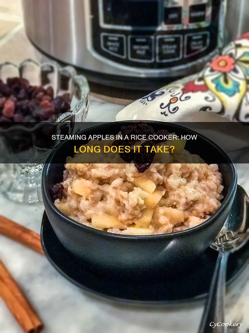 how long to steam apples in rice cooker