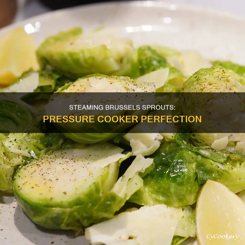 how long to steam brussel sprouts in pressure cooker