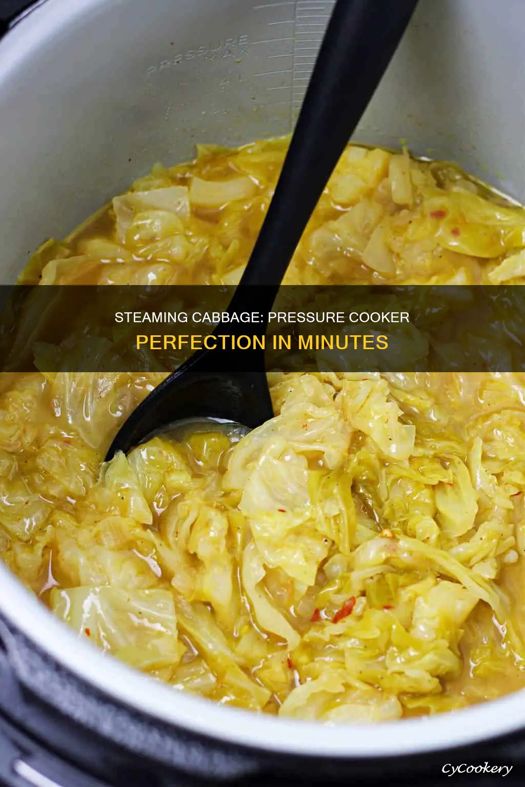 how long to steam cabbage in a pressure cooker